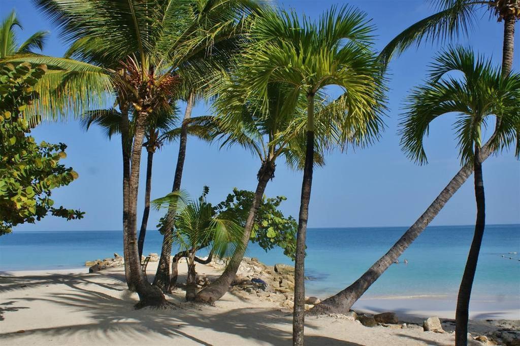 Siboney Beach Club St. John's Екстер'єр фото